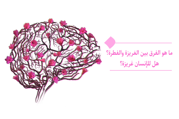 ما معنى الفطرة؟ ما هو الفرق بین الغريزة والفطرة؟
