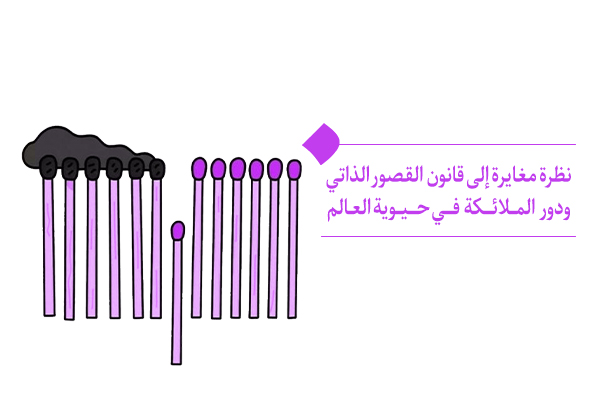 نظرة مغايرة إلى قانون القصور الذاتي ودور الملائكة في حيوية العالم