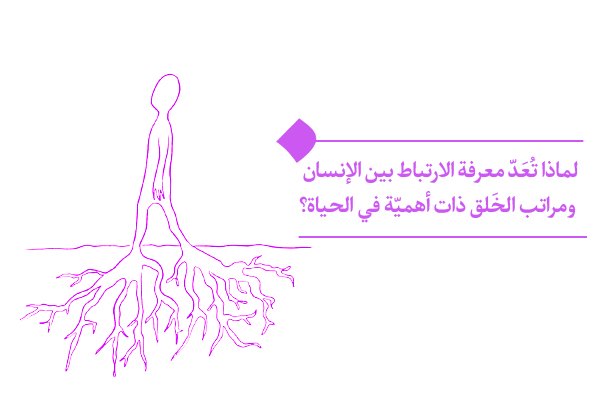 ثمرة الانتباه إلى التناسق بين الإنسان ومراتب الخلق هي حياة متوازنة هادفة.